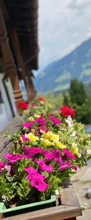Pension Leamhof Hopfgarten im Brixental Ngoại thất bức ảnh